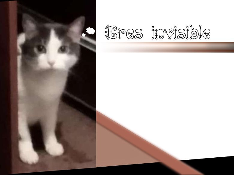 Eres invisible